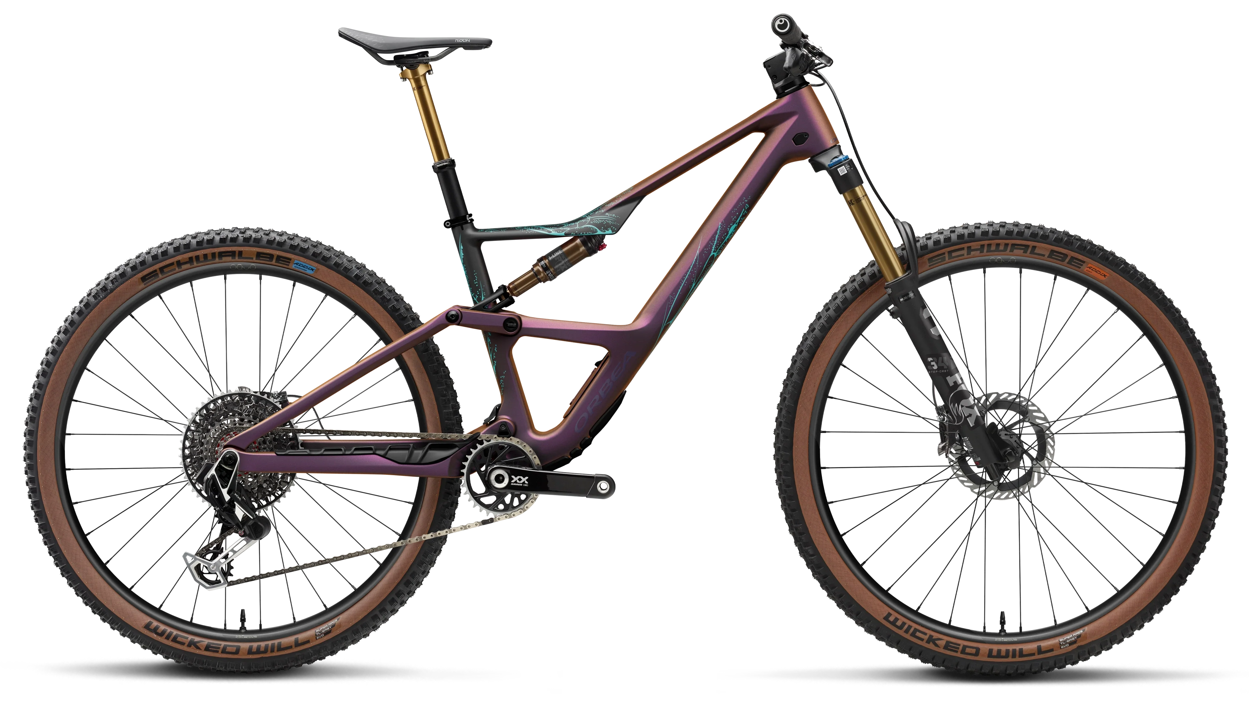 OCCAM SL M-LTD - 2026