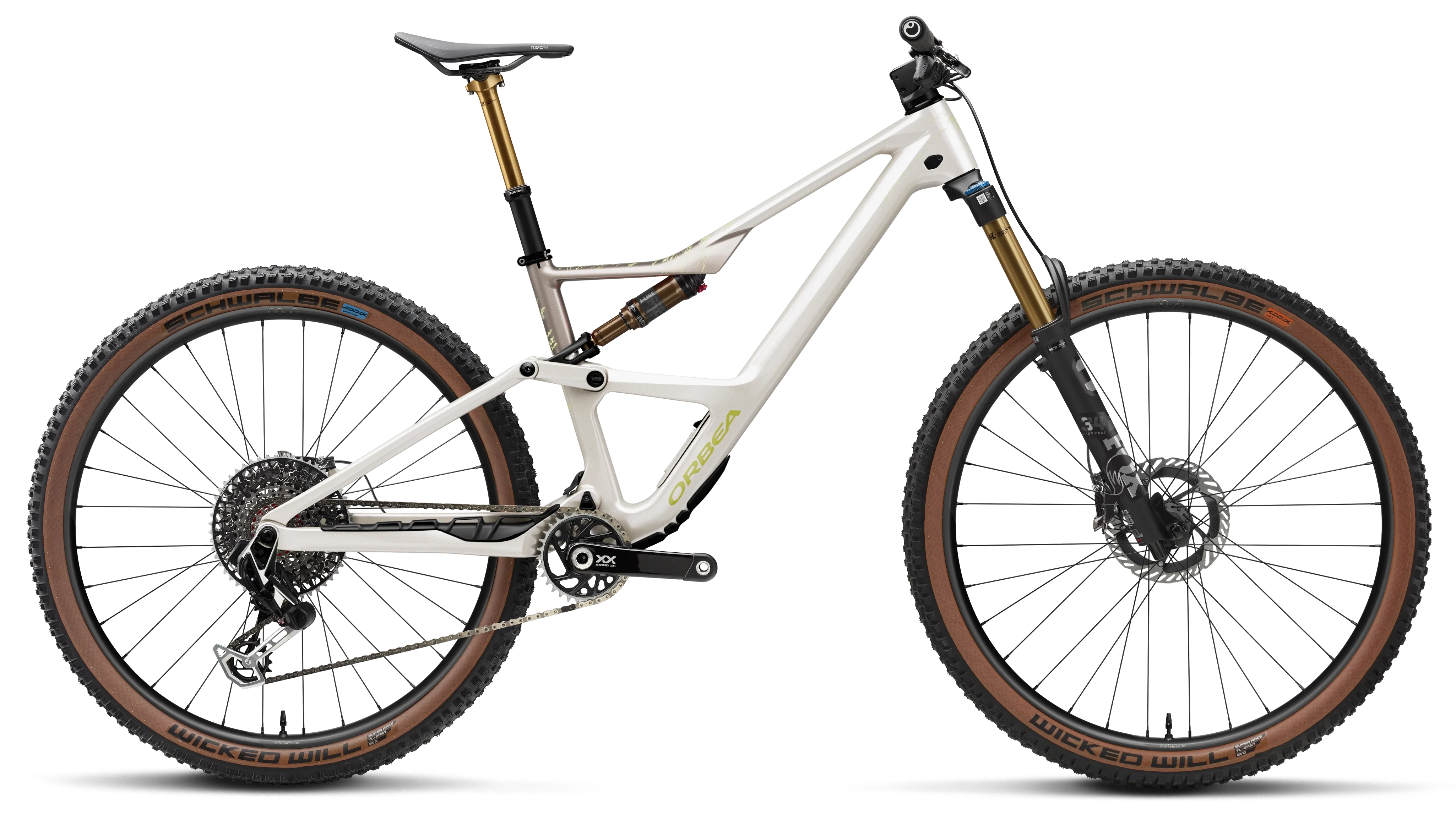OCCAM SL M-LTD - 2026