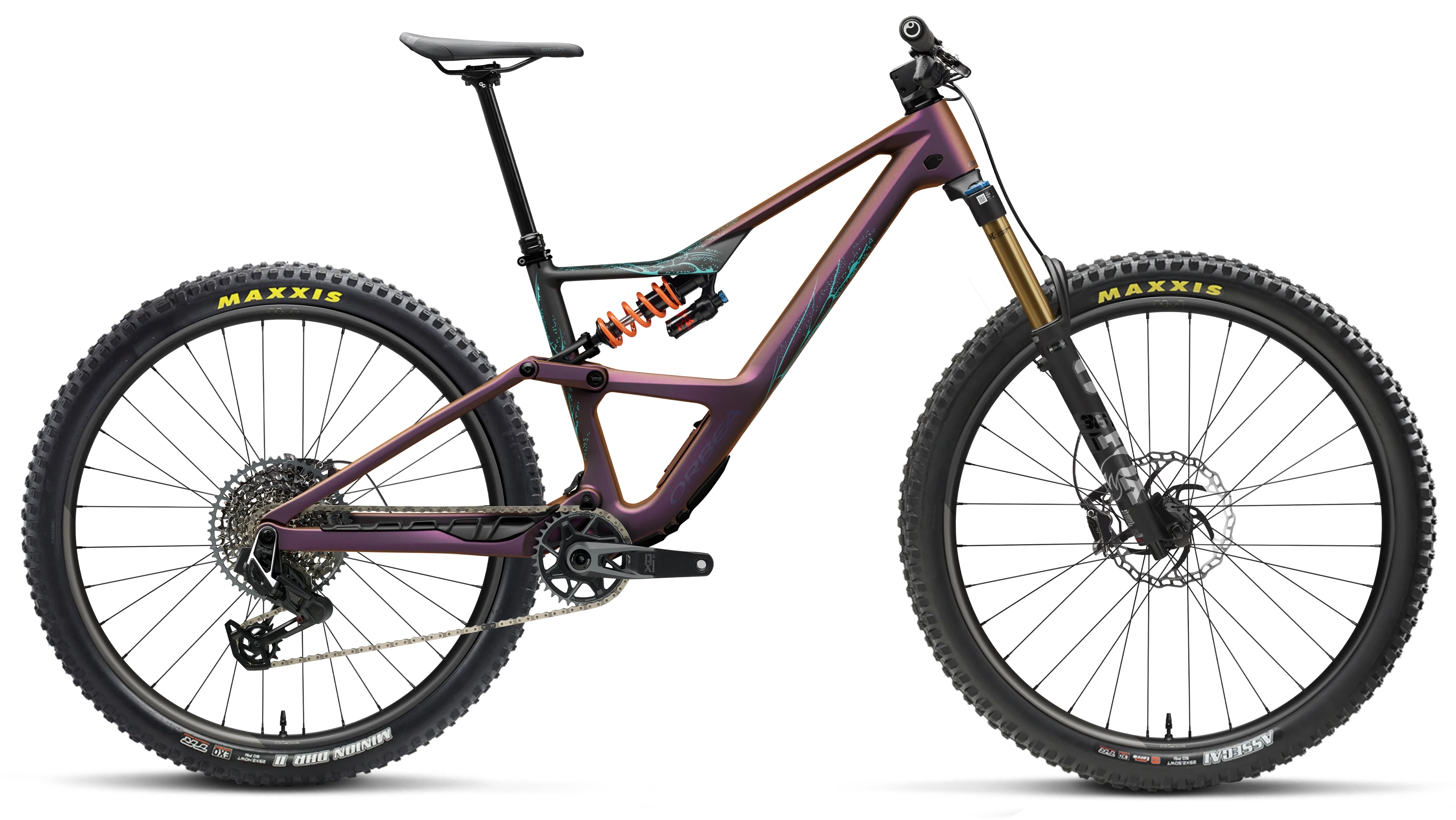 OCCAM LT M-TEAM - 2026