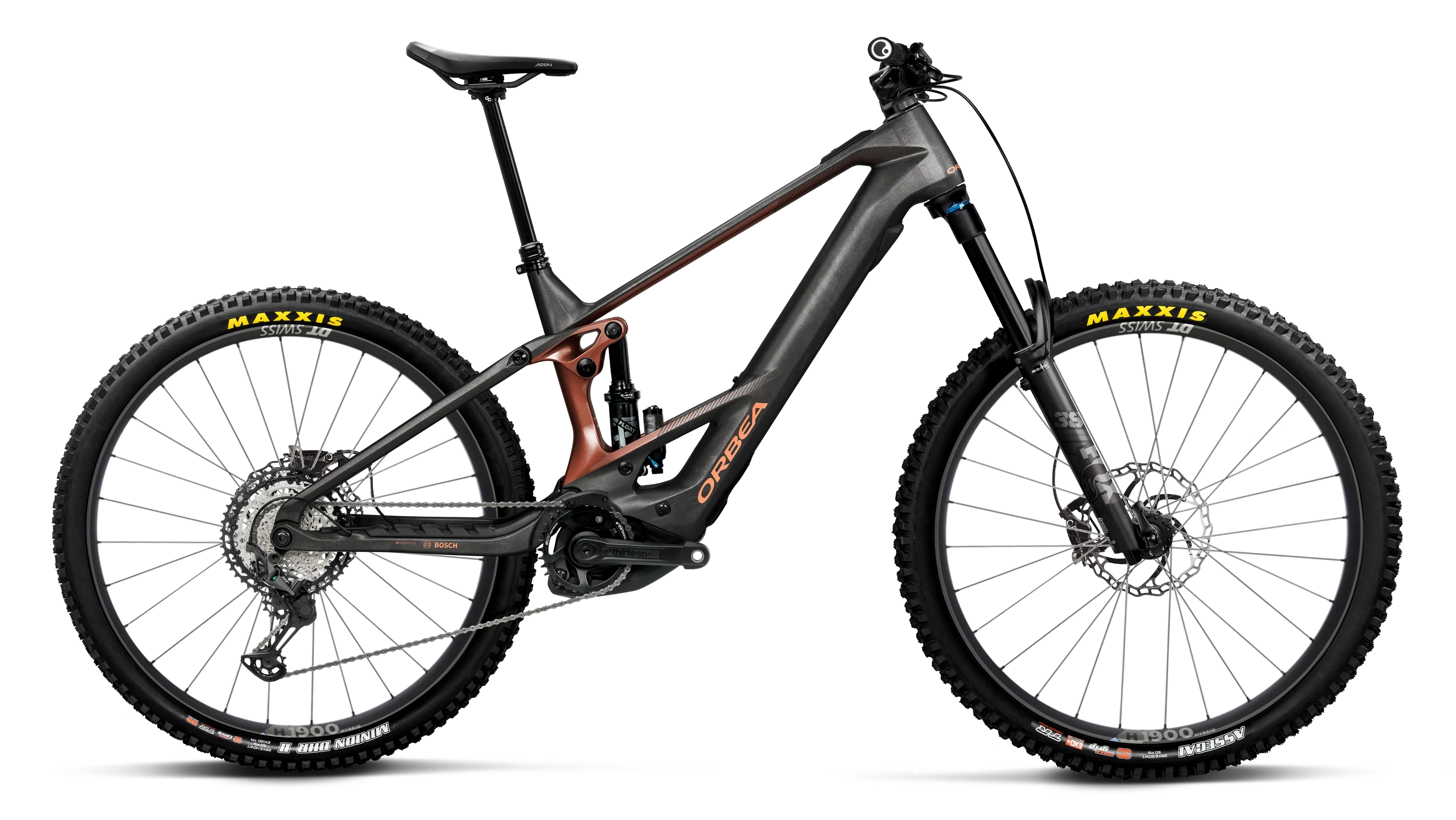 WILD/M M10 - 2026