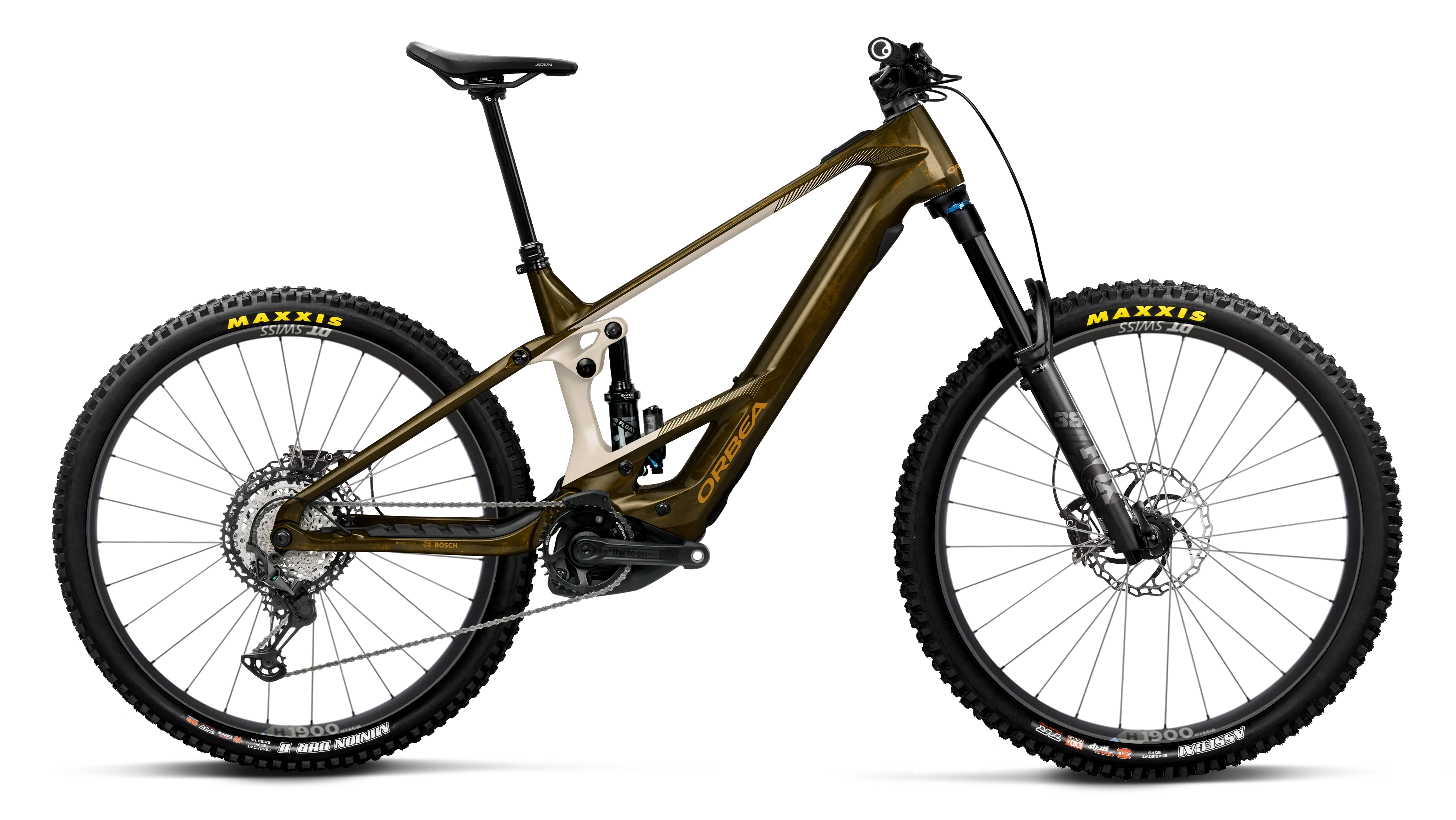 WILD/M M10 - 2026