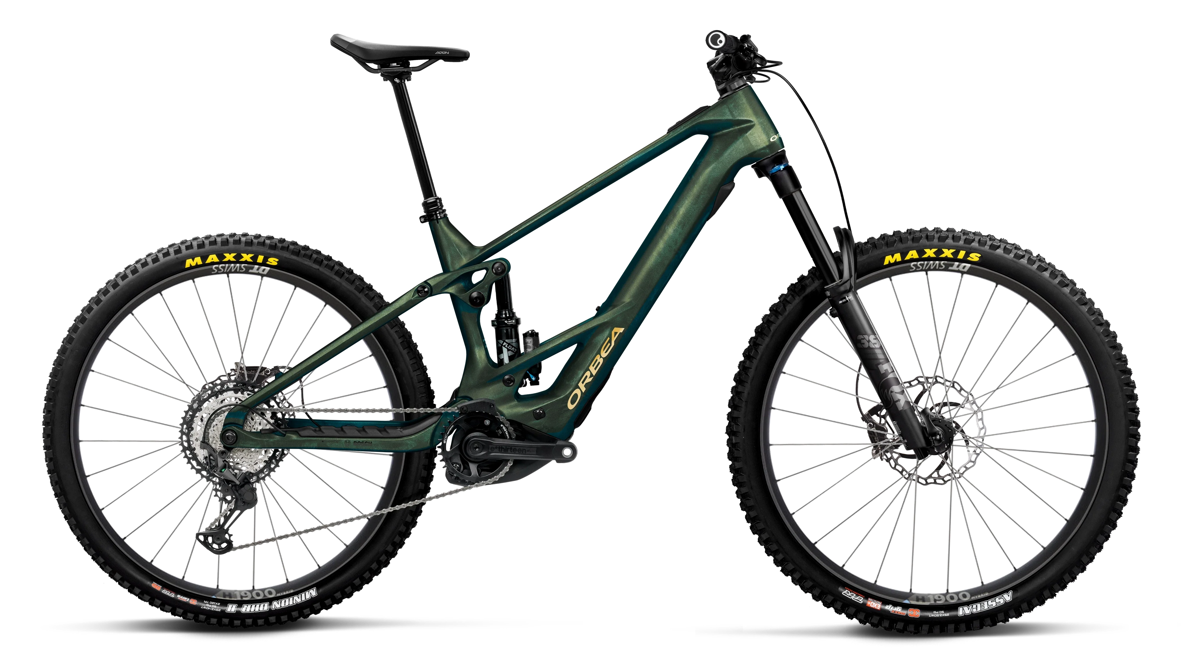 WILD/M M10 - 2026