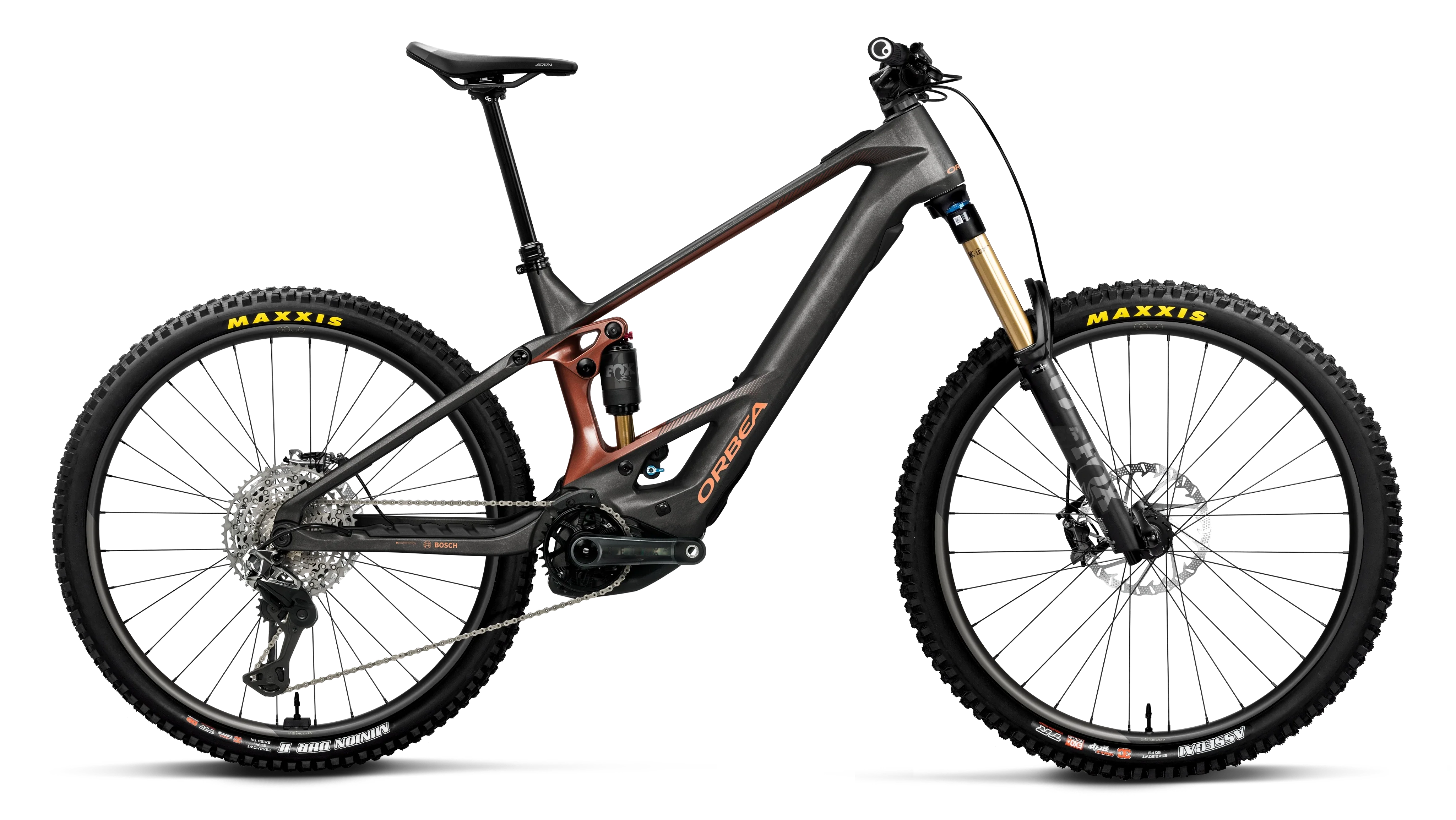 WILD M-LTD - 2026