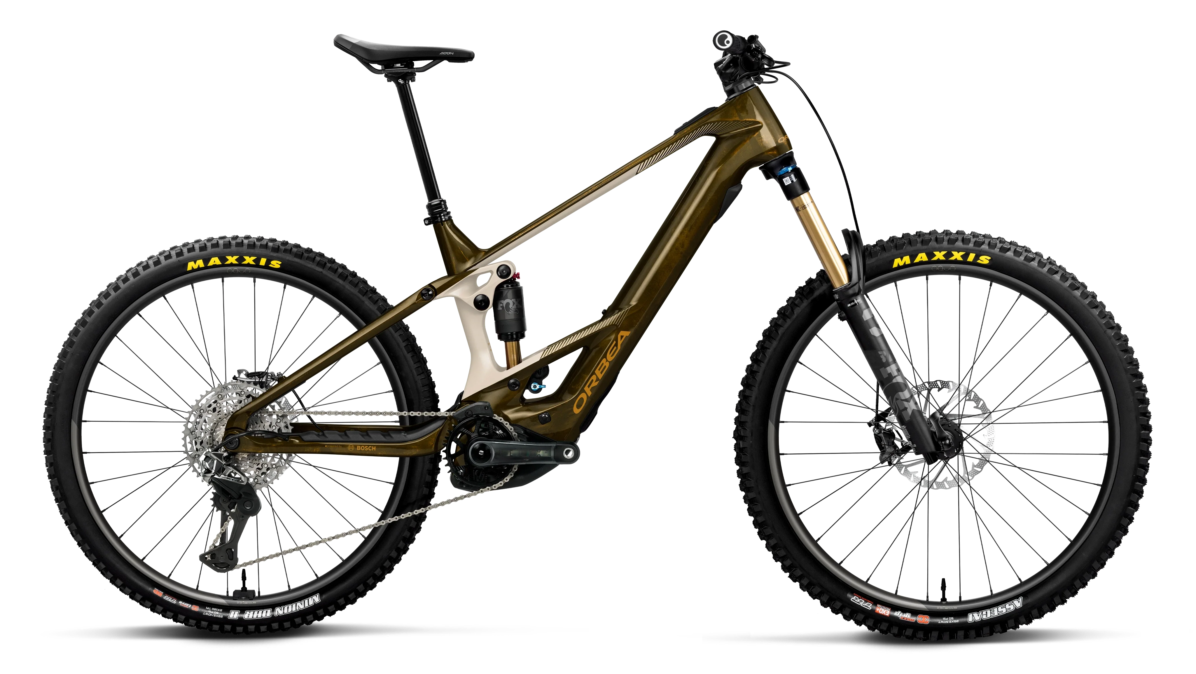 WILD M-LTD - 2026