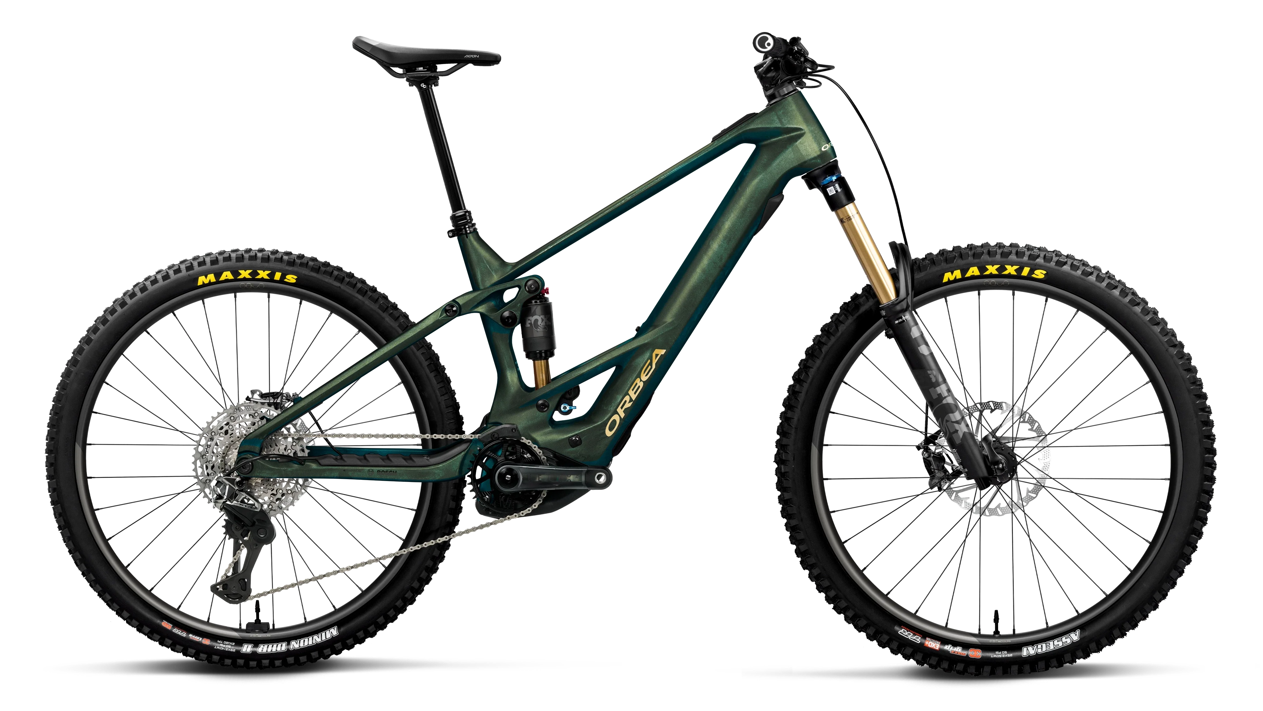 WILD M-LTD - 2026