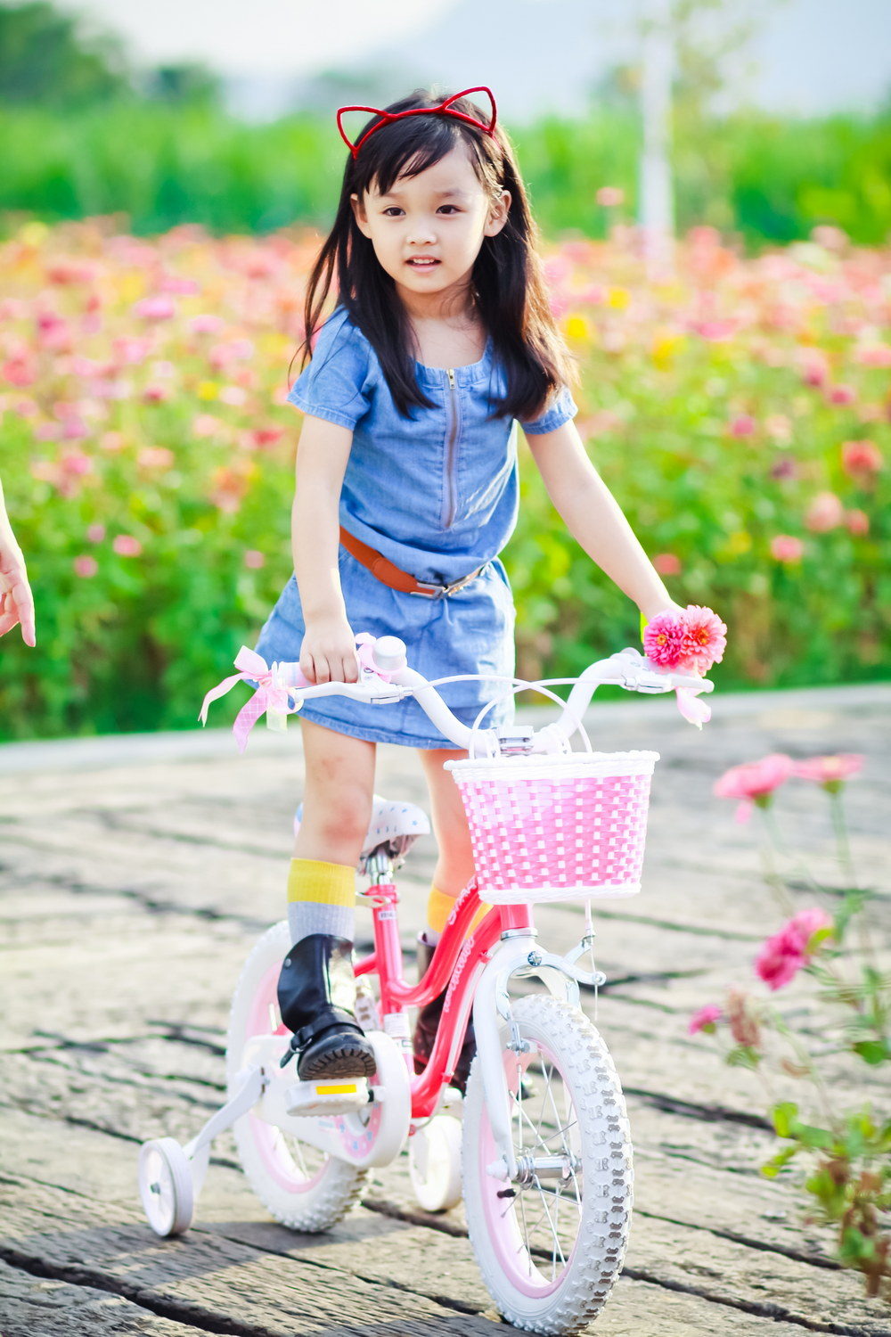 Bicicleta Royal Baby Star Girl 20 Pink