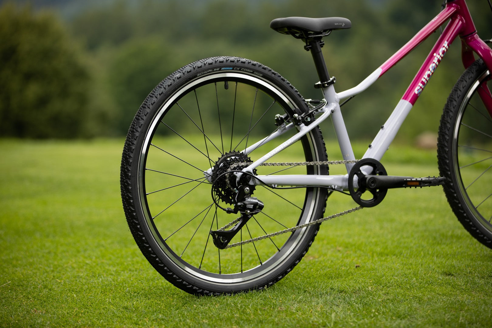 Bicicleta Superior F.L.Y. 24 VB 24 Gloss Purple