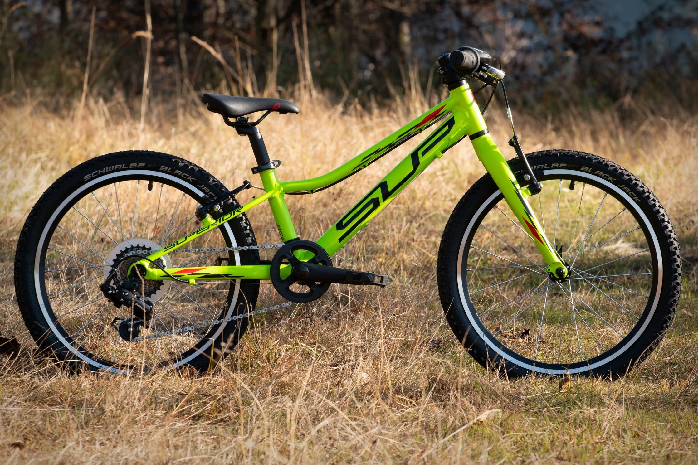 Bicicleta Superior Racer XC 20 Matte Lime/Black/Red