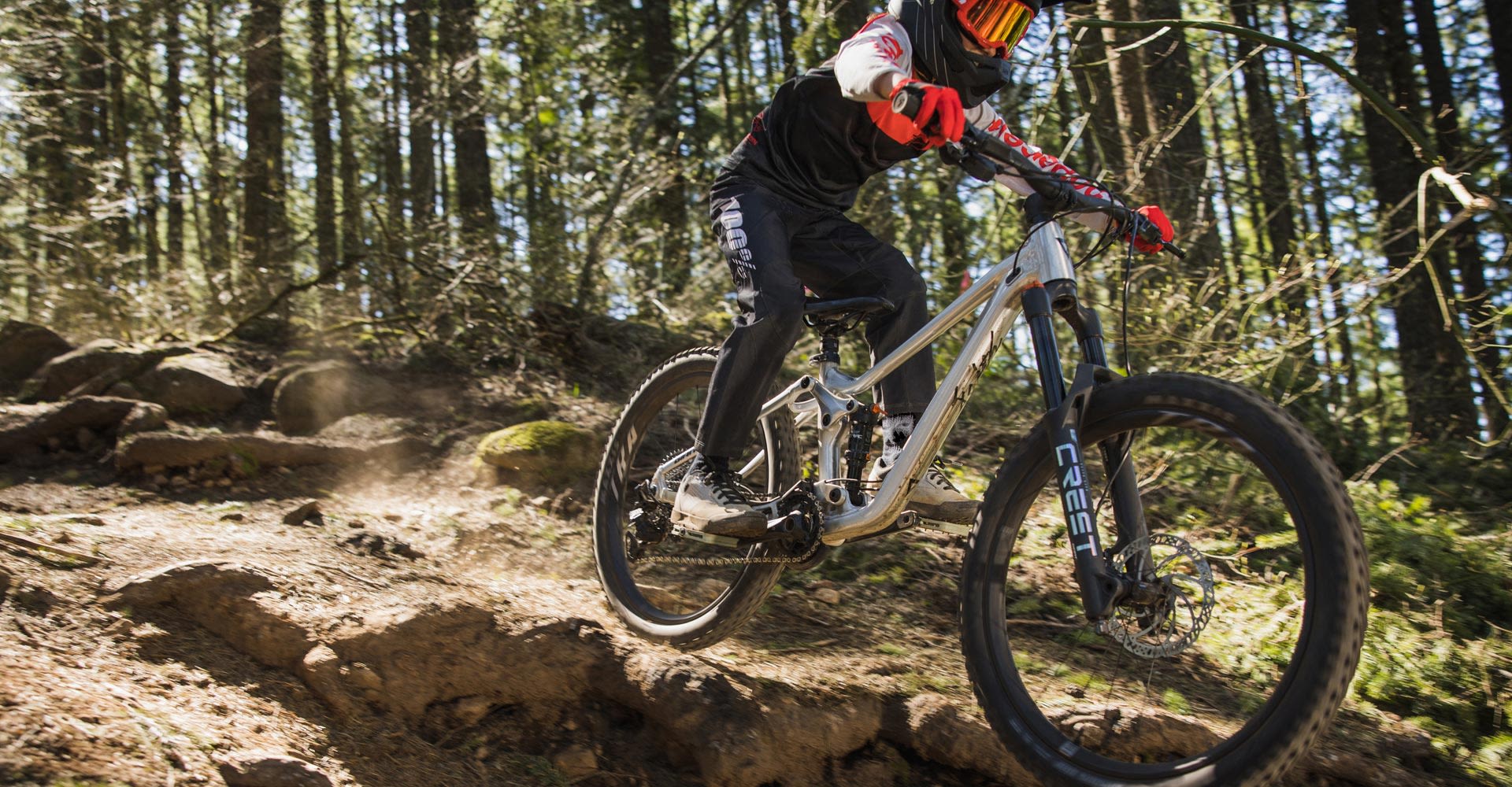 Bicicleta full suspension copii Giant Liv FAITH Mini-Mullet 24