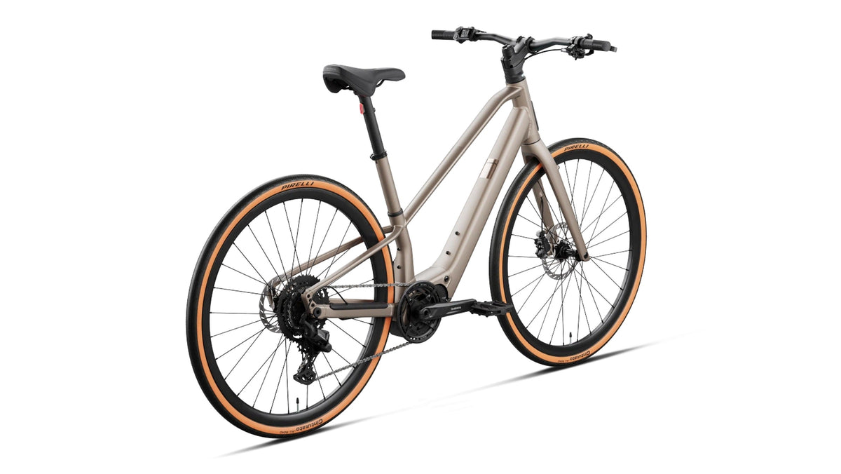 ORBEA Carpe 25 2027 Nickel - spate 3/4