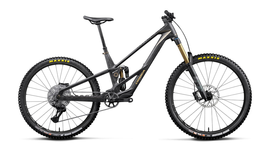 ORBEA Rallon RS-LTD Mullet