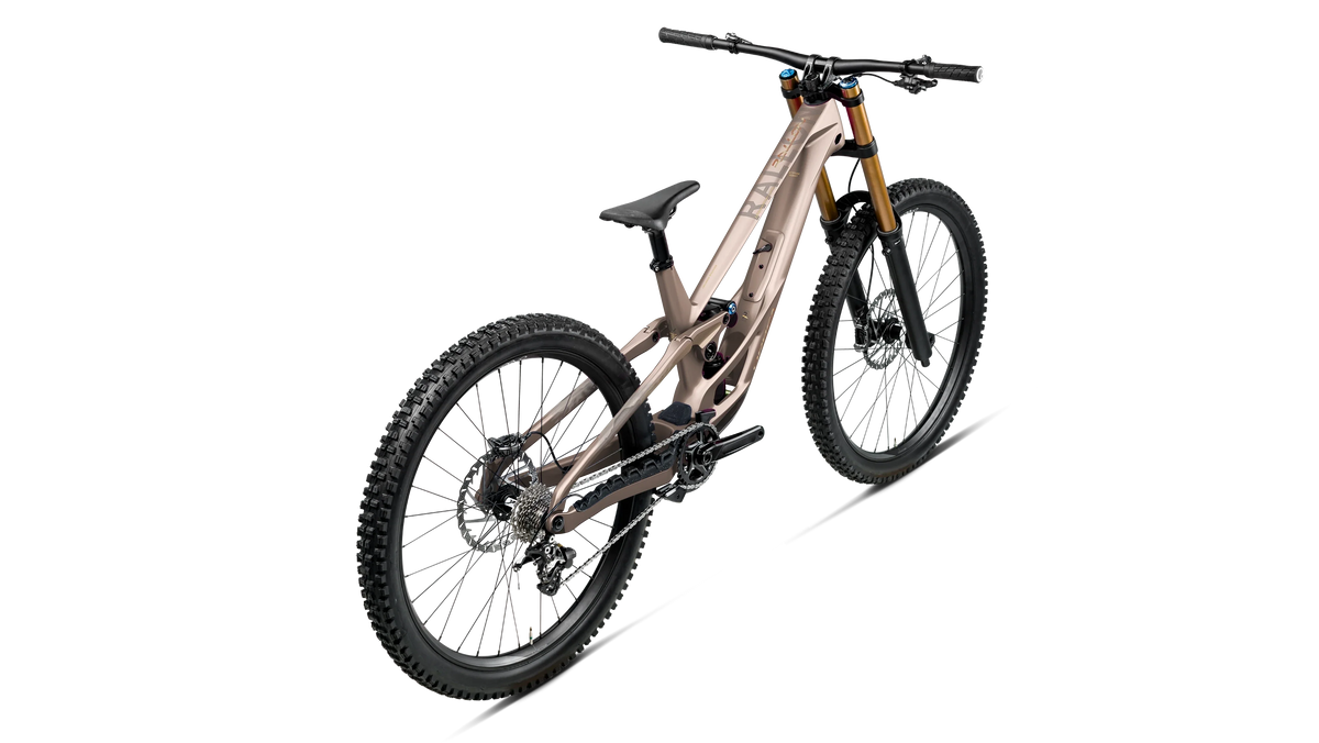 Orbea Rallon D-LTD Nickel - din spate