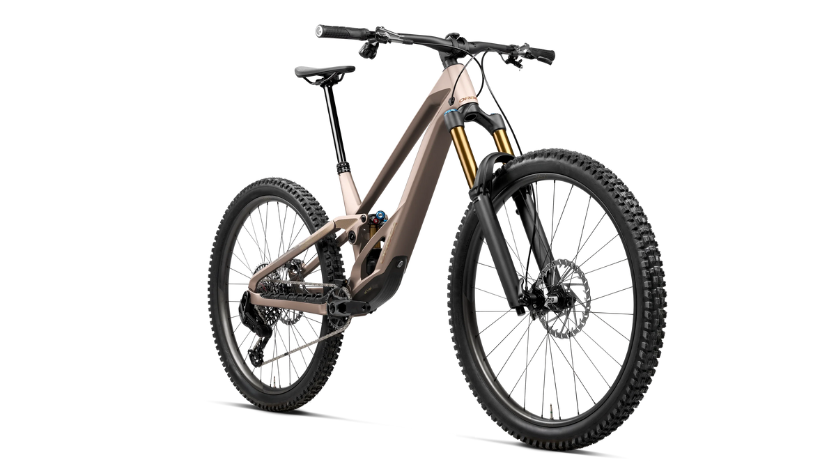 Orbea Rallon E-LTD Nickel - din fata