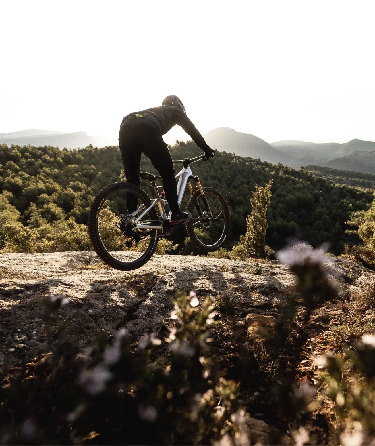 Bicicletă electrică eMTB ORBEA RISE LT M-TEAM 420W