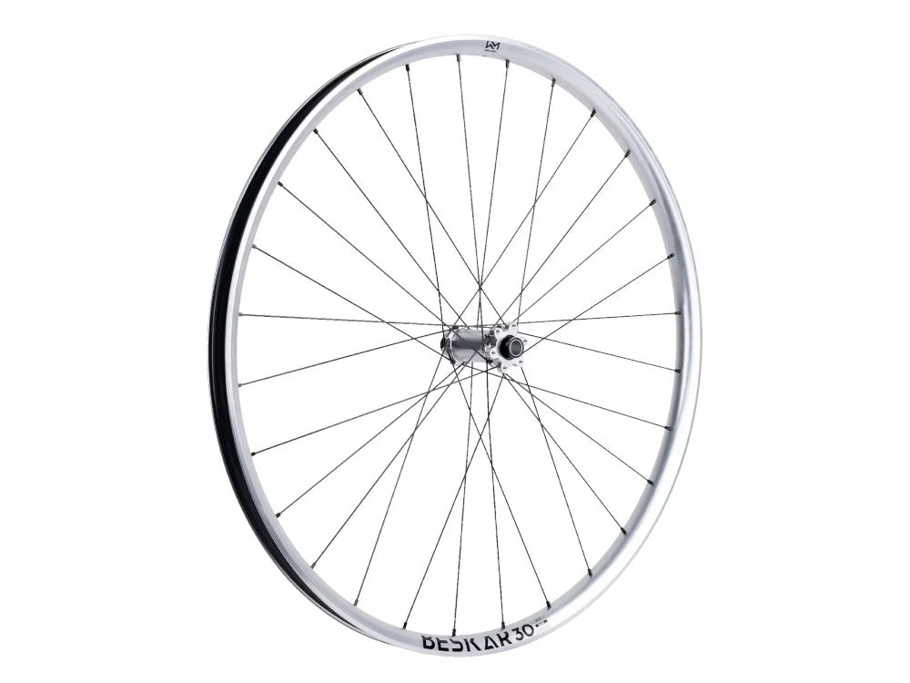 Roată Față Newmen Beskar 30 Base 29" 28H Fade SP 6B 15X110 Ltd