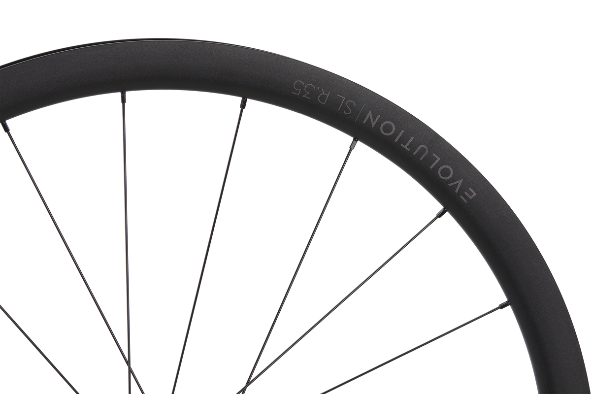 Roată Față Newmen Evolution SL R.35 622 21H Fade R SJ CL 12X100