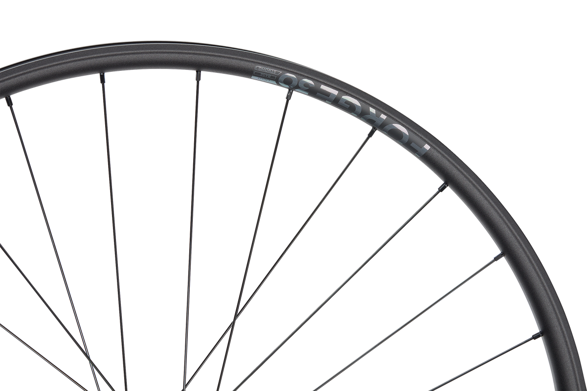 Roată Față Newmen Forge 30 Light 28H Fade SP 6B 15X110