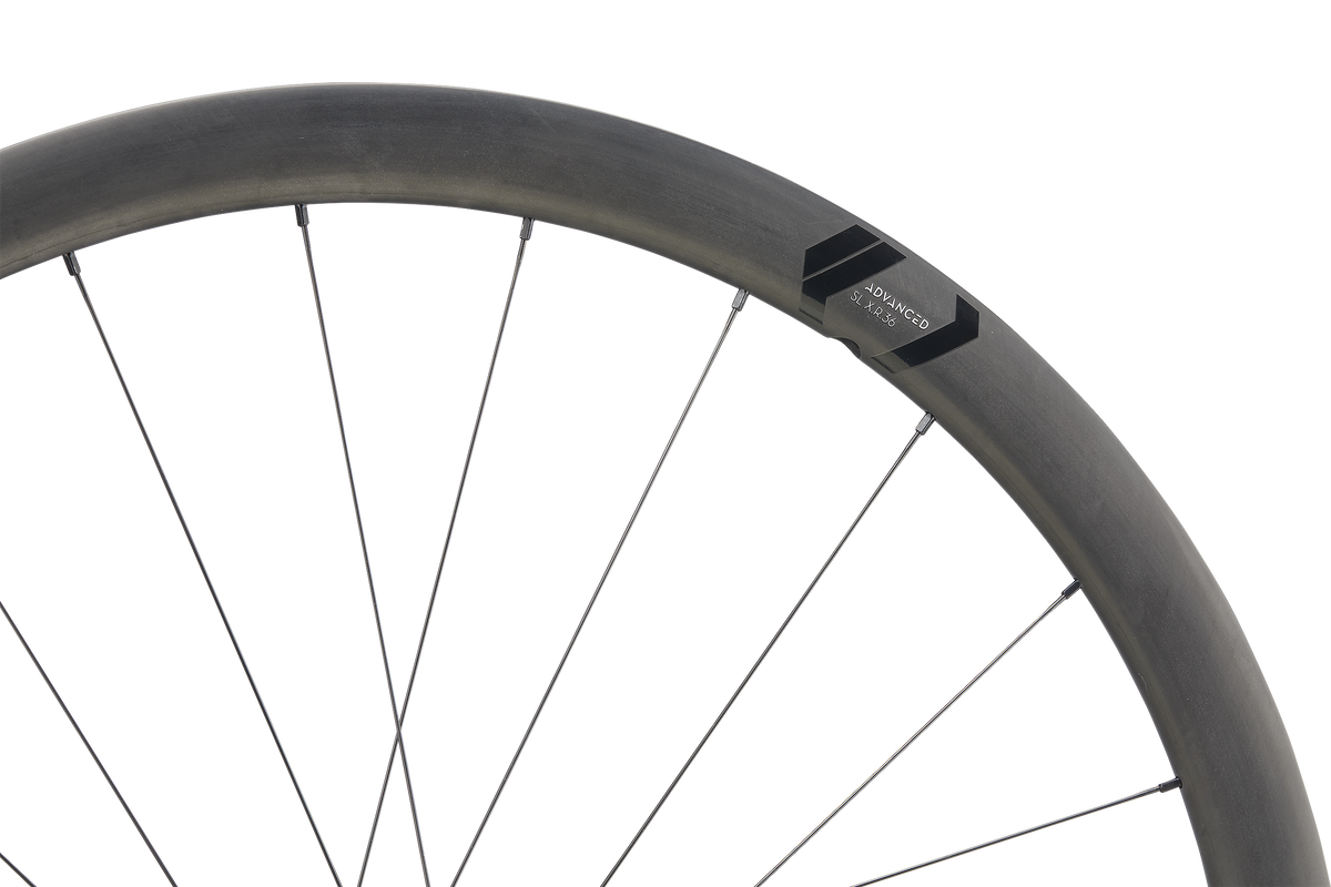 Roată Spate Newmen Advanced SL X.R.36 29INCH 24H Fade R SP CL 12X142