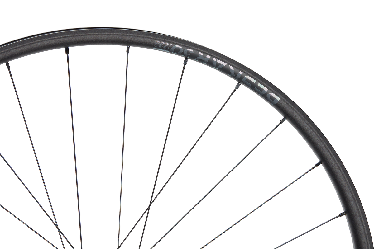 Roată Spate Newmen Beskar 30 Light 29INCH 28H Fade SP 6B 12X148