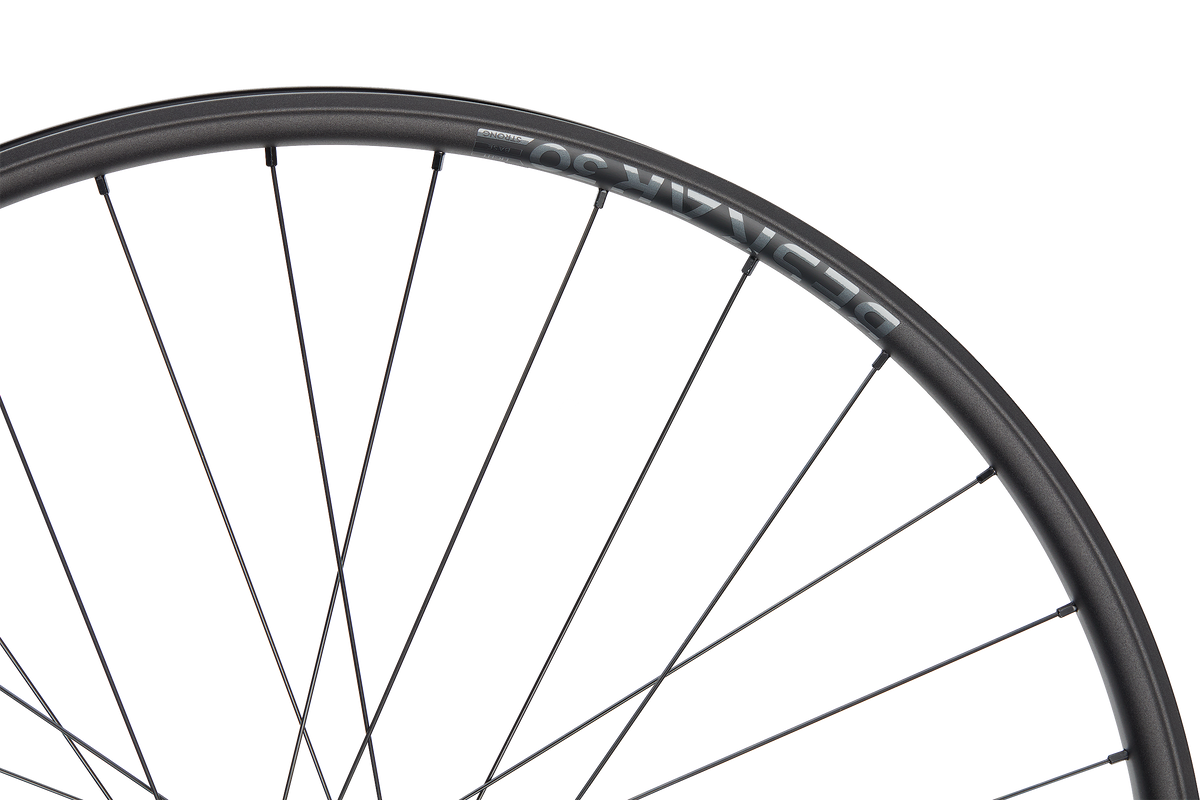 Roată Spate Newmen Beskar 30 Strong 29INCH 32H Fade SP 6B 12X148