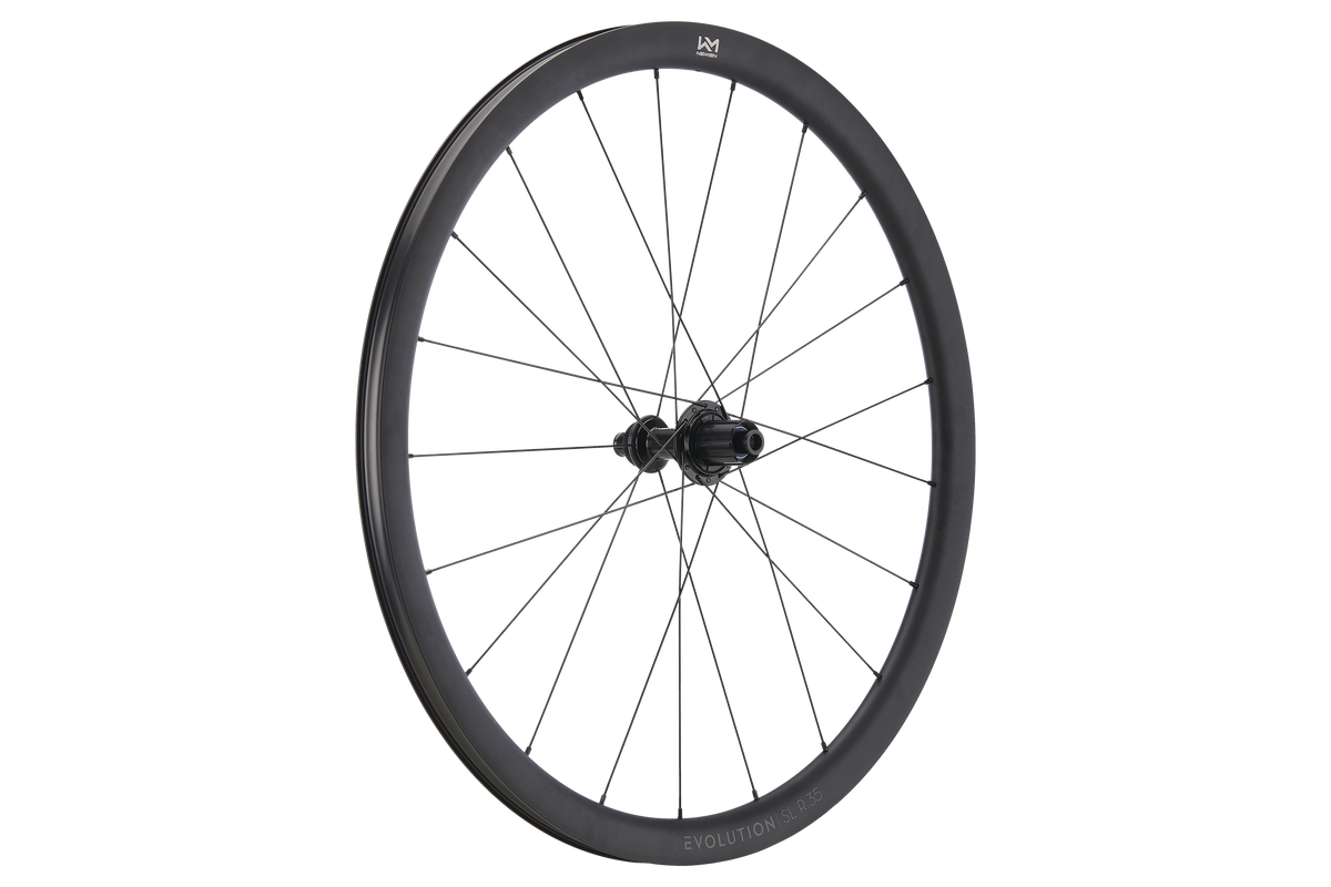 Roată Spate Newmen Evolution SL R.35 622 21H Fade R SJ CL 12X142