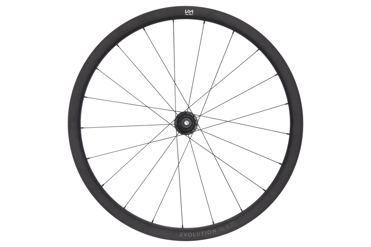 Roată Spate Newmen Evolution SL R.35 622 21H Fade R SJ CL 12X142