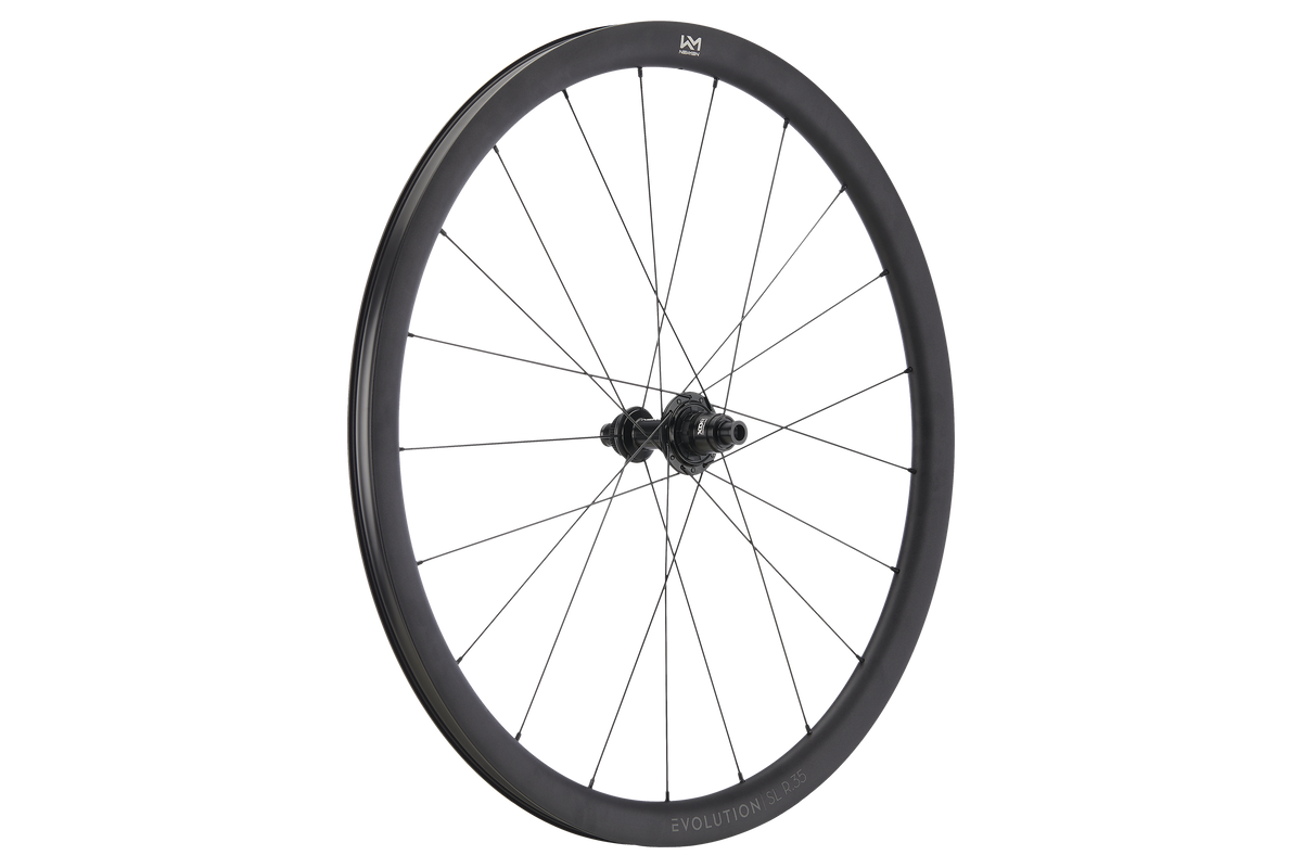 Roată Spate Newmen Evolution SL R.35 622 21H Fade R SJ CL 12X142