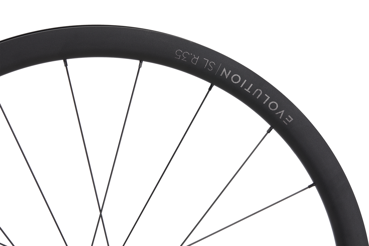 Roată Spate Newmen Evolution SL R.35 622 21H Fade R SJ CL 12X142