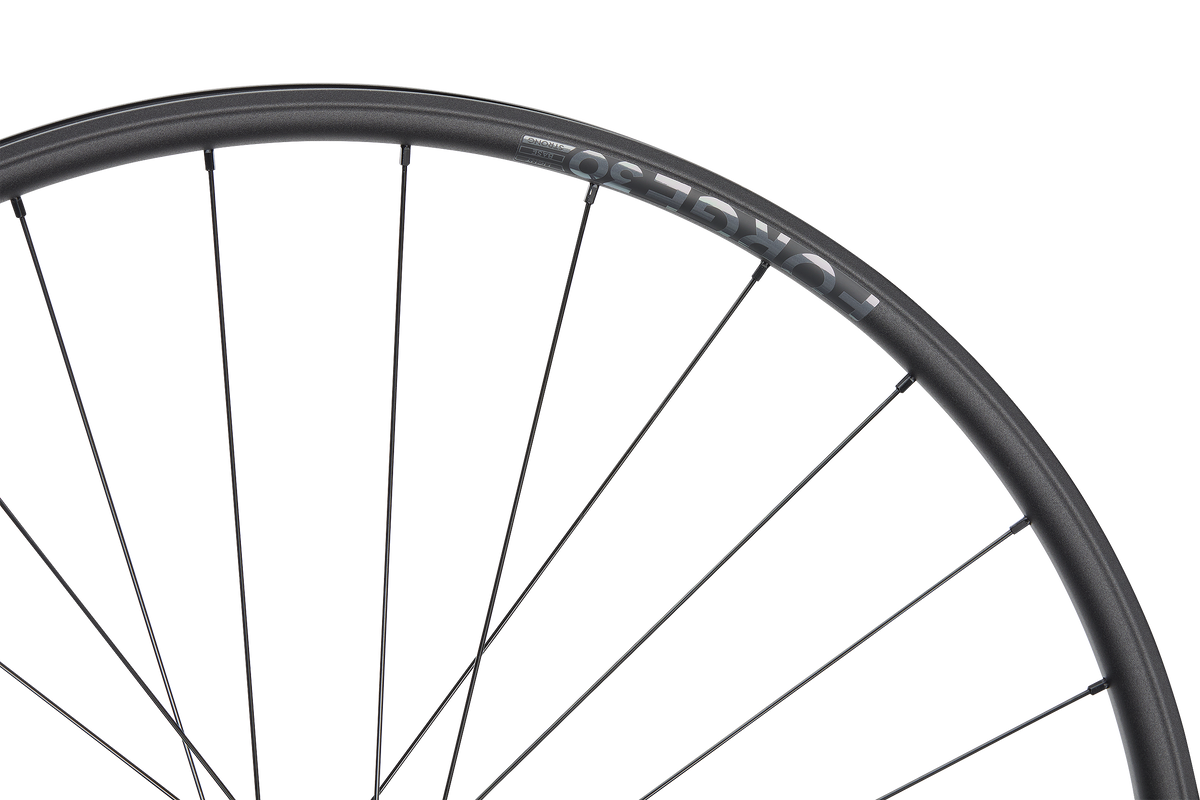 Roată Spate Newmen Forge 30 Strong 29INCH 32H Fade SP 6B 12X157