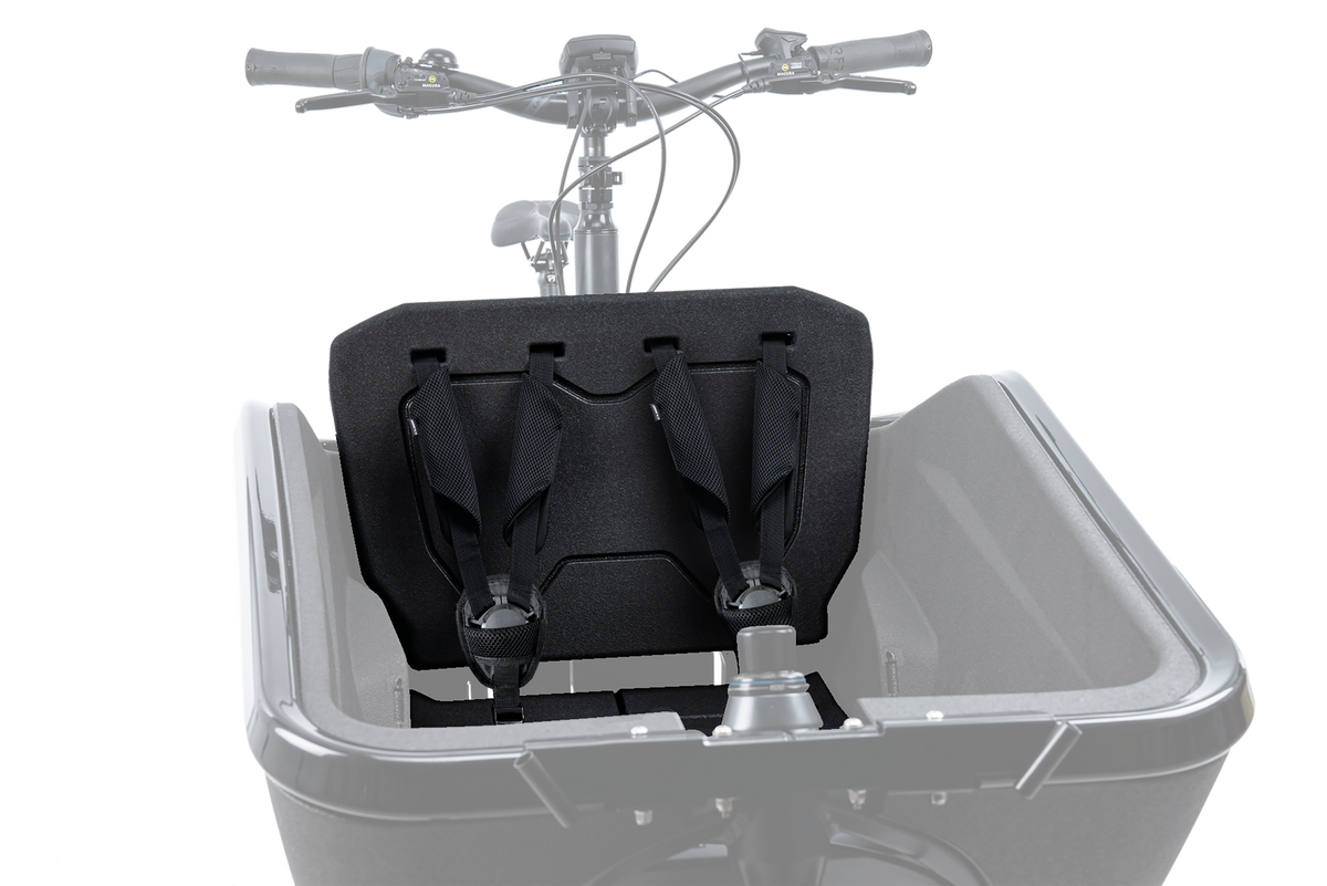 Scaun Portbagaj Copii CUBE Cargo 2.0