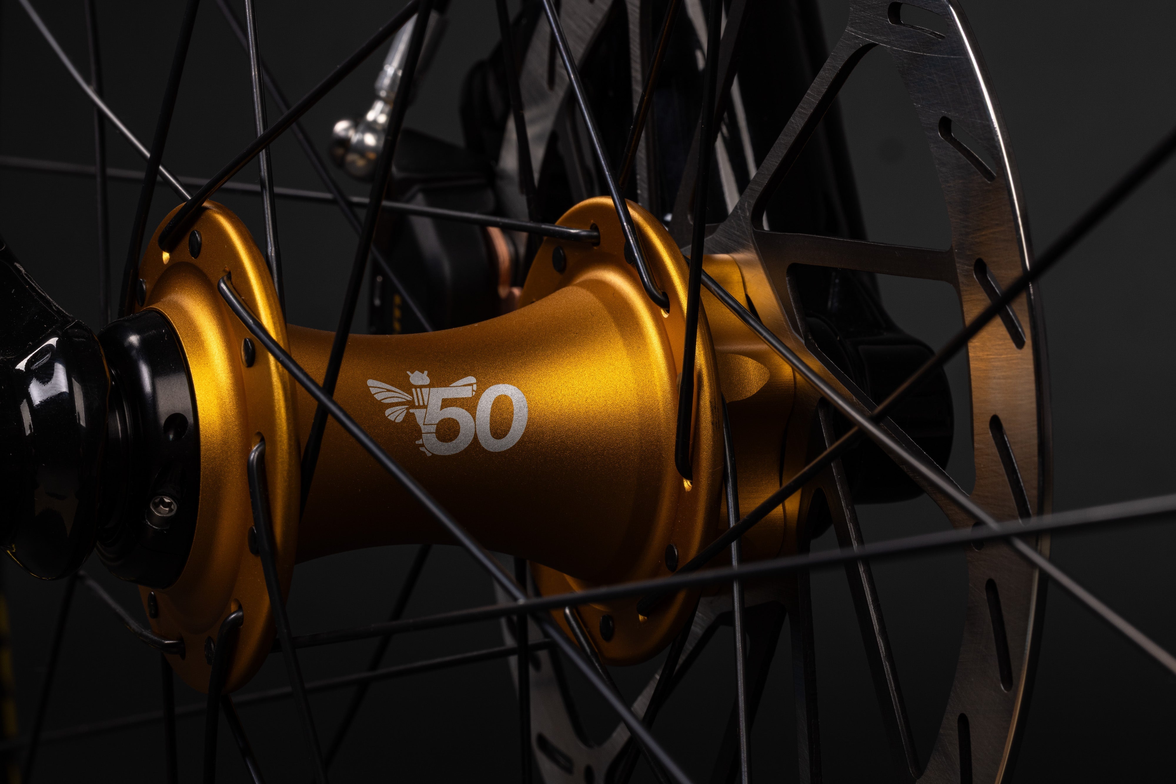 Butuc Chris King 50th Anniversary Gold