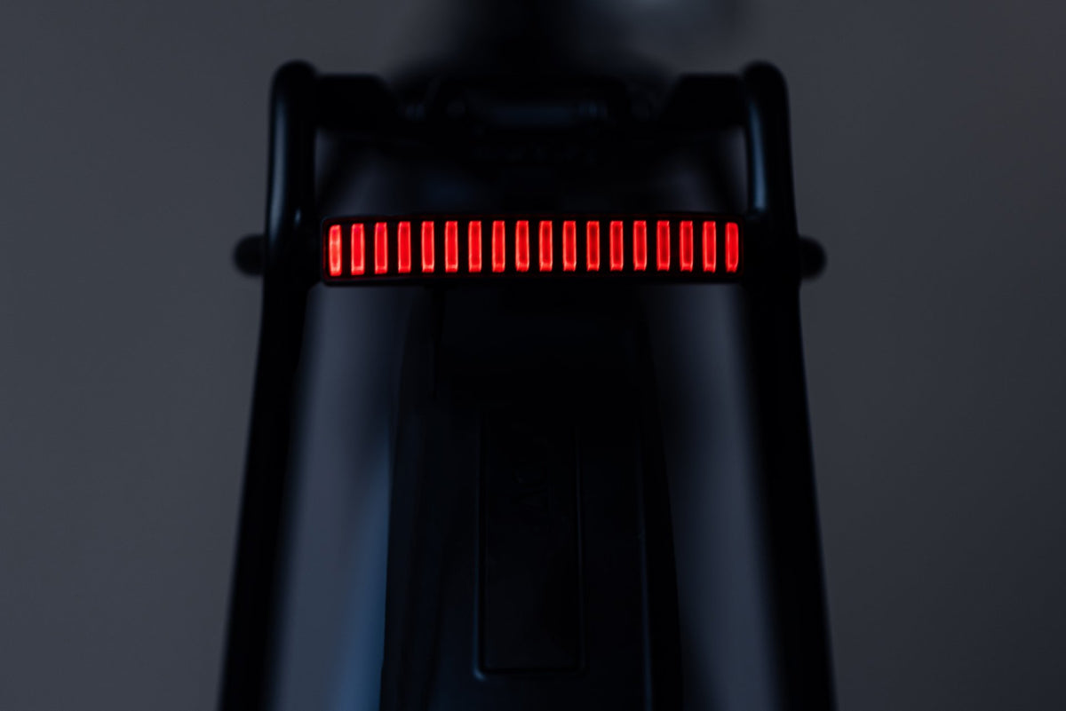 Stop ACID E-BIKE Carrier Pro-e HPA BES3