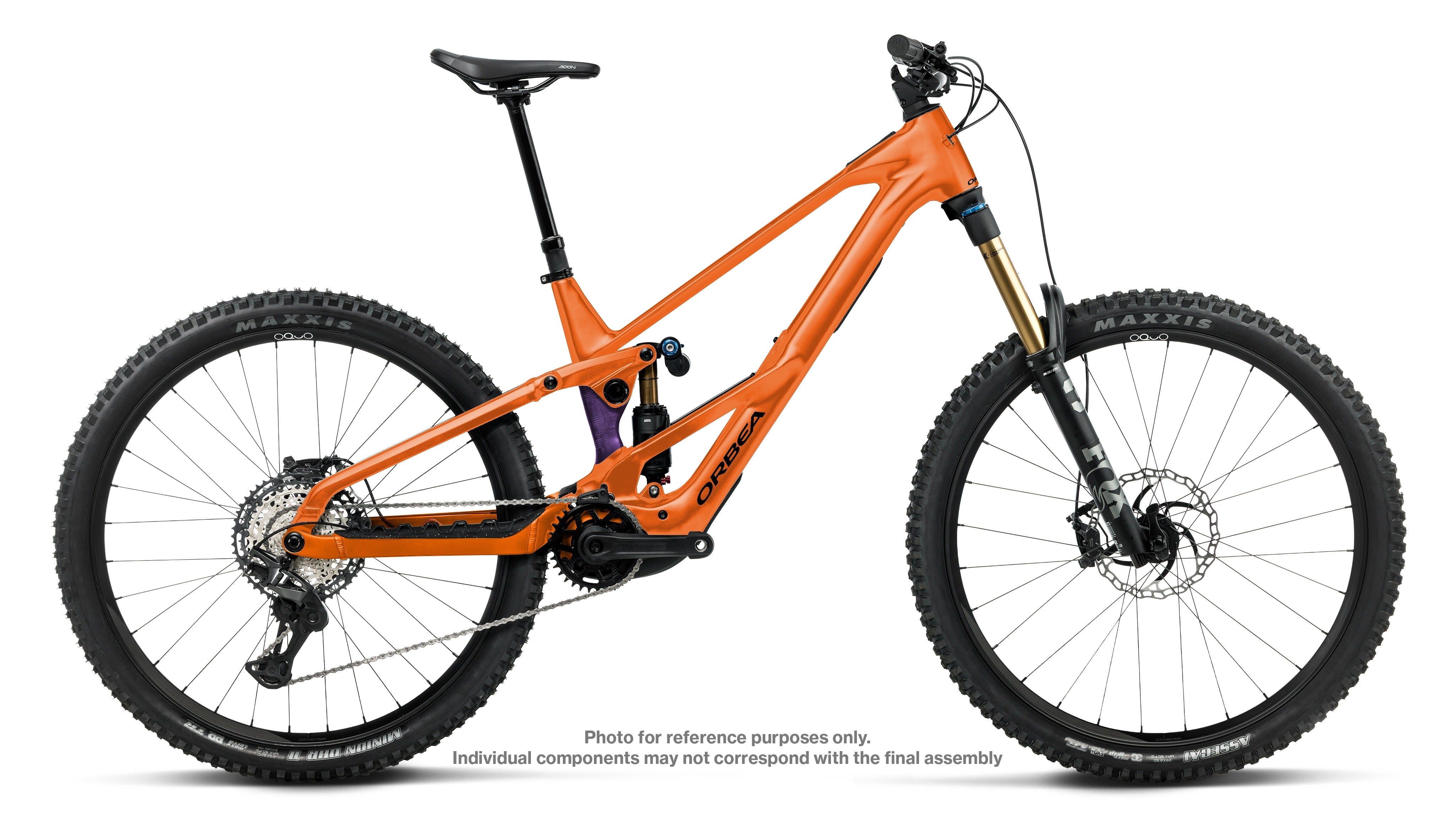 WildLT-H10 XB-v1